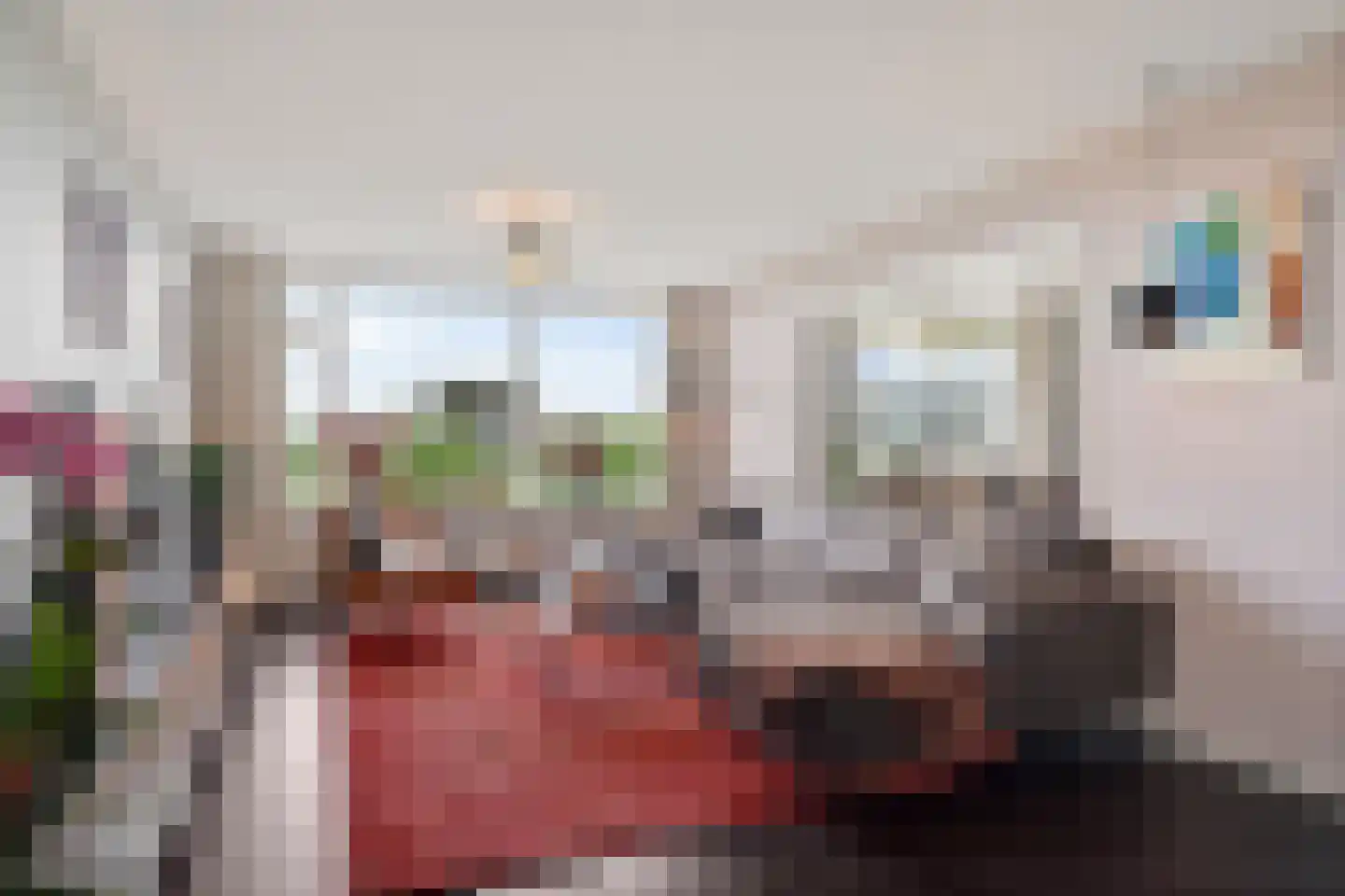Dunantstraat 825 Zoetermeer thumbnail 14