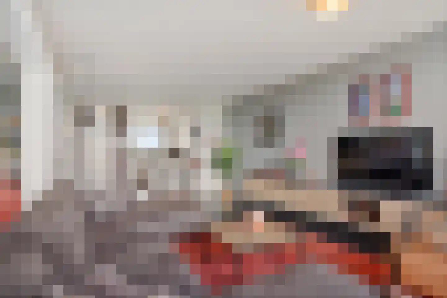 Dunantstraat 825 Zoetermeer thumbnail 15