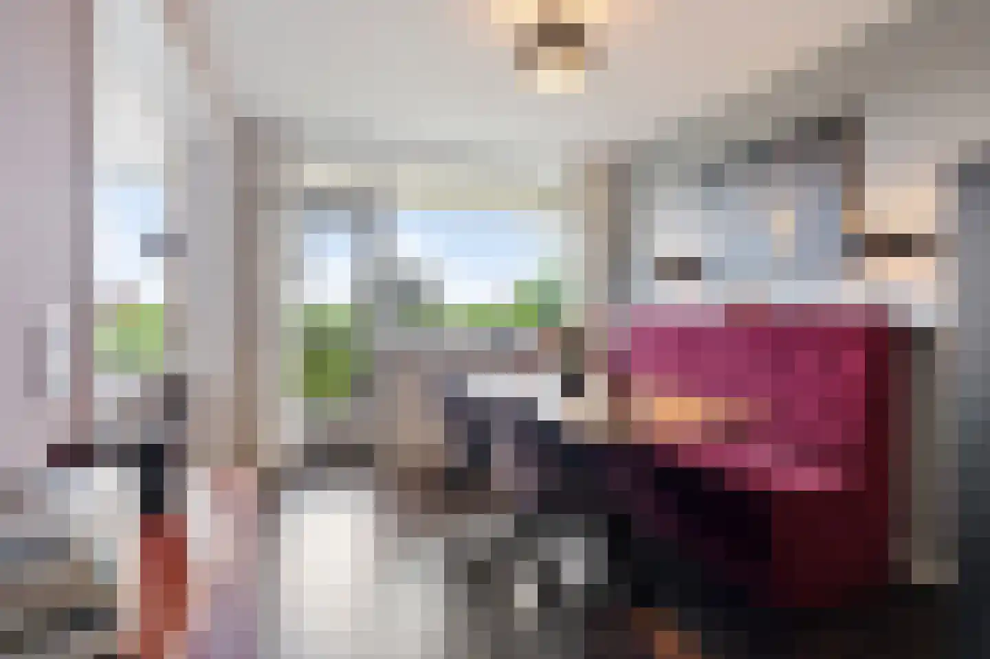 Dunantstraat 825 Zoetermeer thumbnail 24