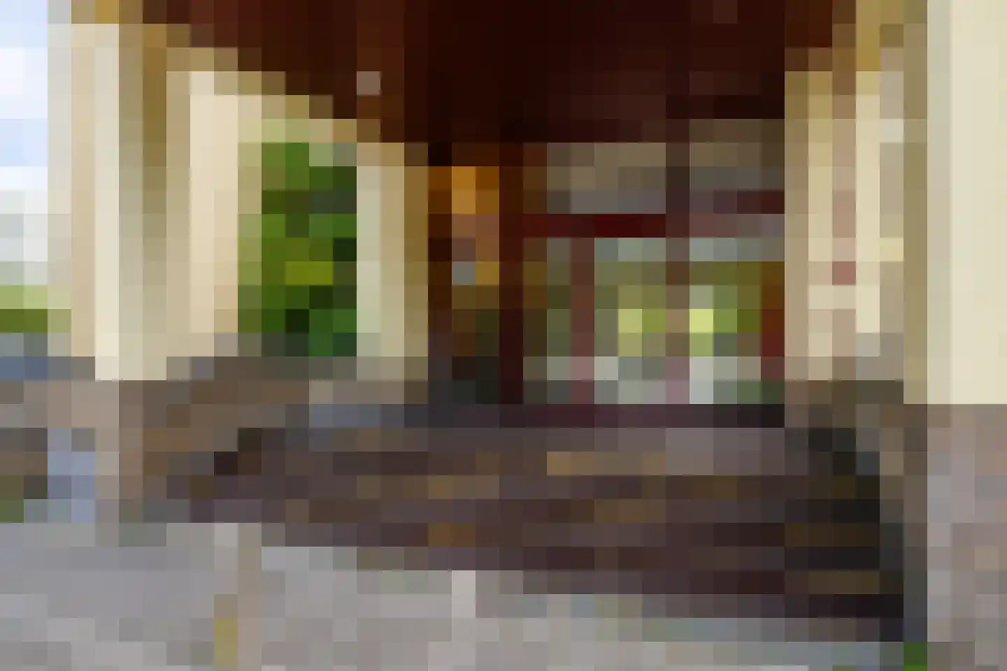 Dunantstraat 825 Zoetermeer thumbnail 6