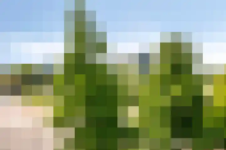 Dunantstraat 846 in Zoetermeer