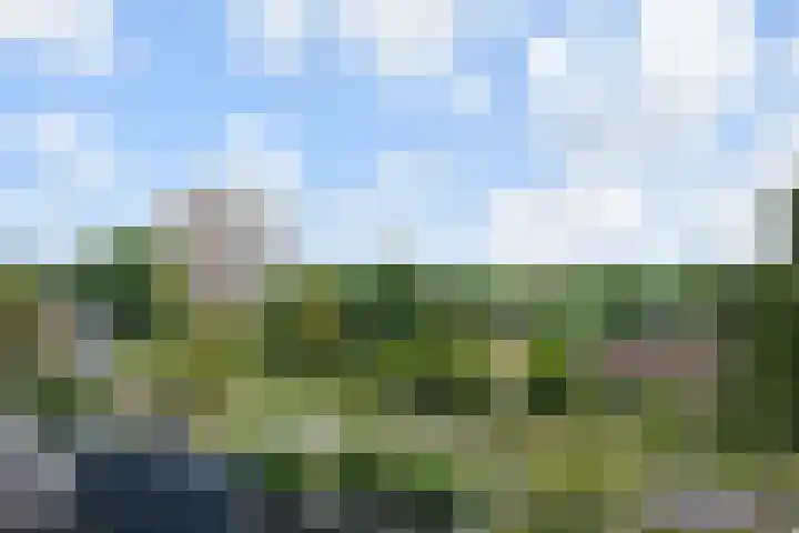 Dunantstraat 858 Zoetermeer thumbnail 11