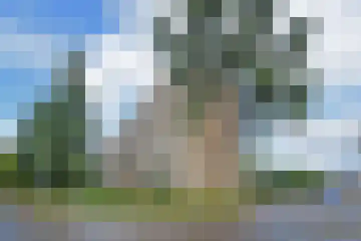 Dunantstraat 858 Zoetermeer thumbnail 44