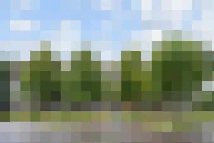 Dunantstraat 858 Zoetermeer thumbnail 46