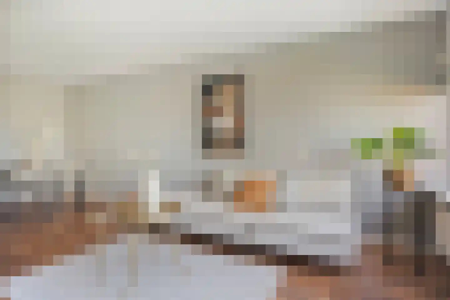 Dunantstraat 867 Zoetermeer thumbnail 18