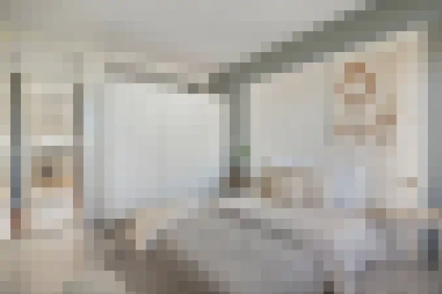 Dunantstraat 867 Zoetermeer thumbnail 27