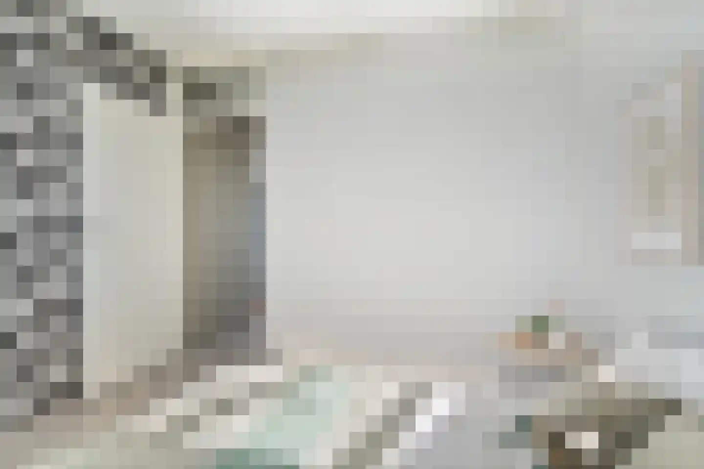 Dunantstraat 867 Zoetermeer thumbnail 36