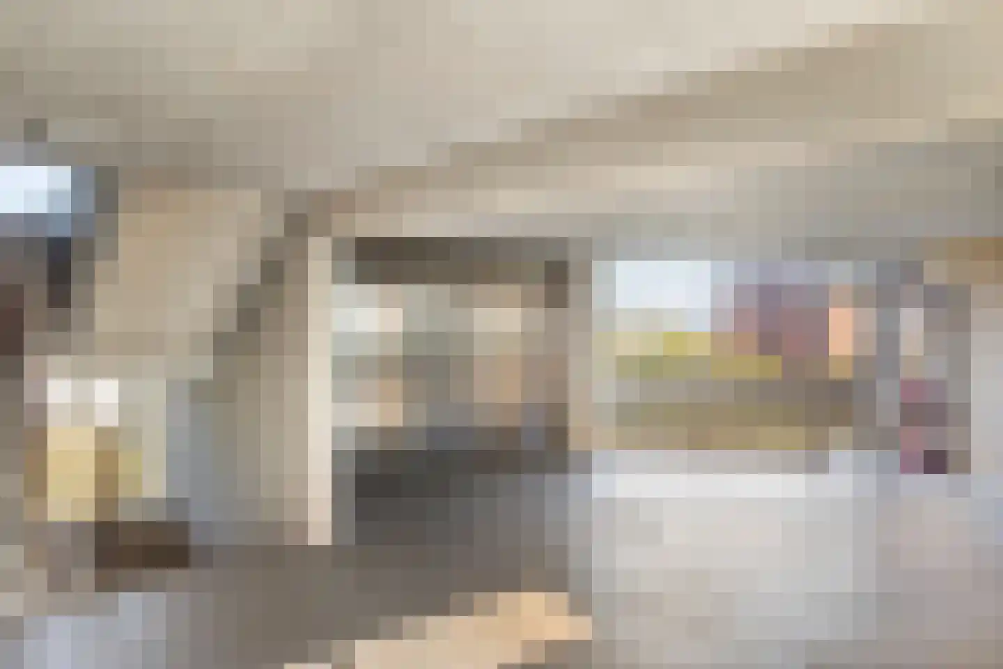 Dunantstraat 867 Zoetermeer thumbnail 8