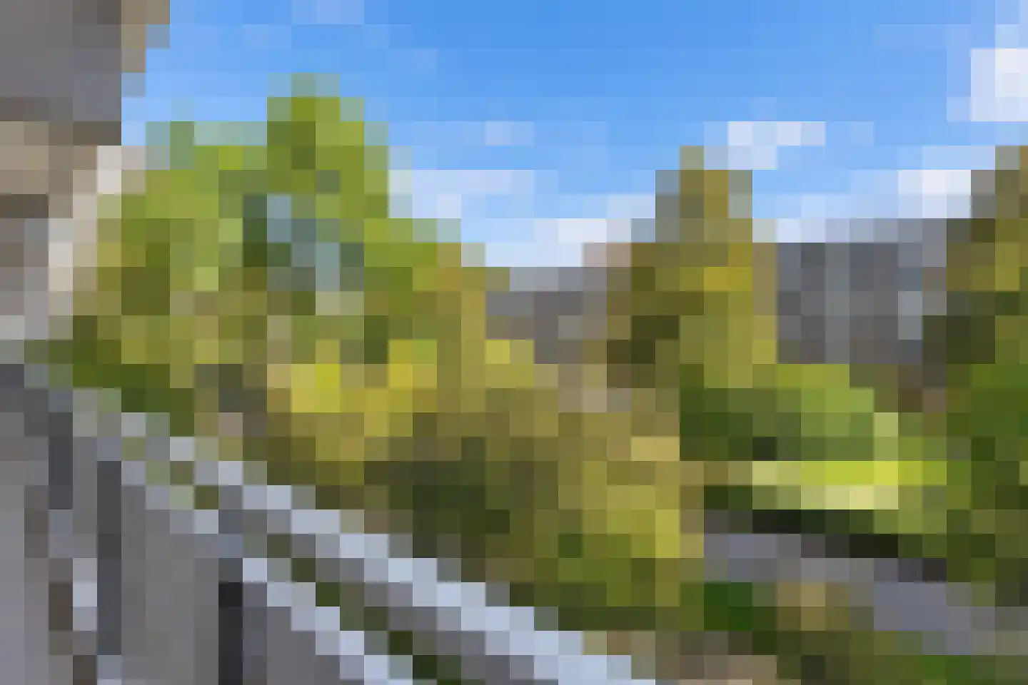 Dunantstraat 885 Zoetermeer thumbnail 12