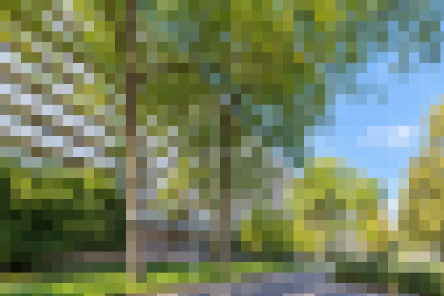 Dunantstraat 885 Zoetermeer thumbnail 42