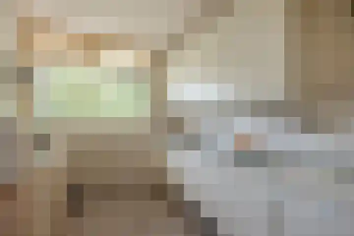Dunantstraat 913 Zoetermeer thumbnail 10
