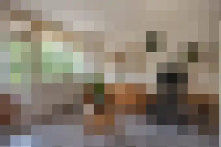 Dunantstraat 913 Zoetermeer thumbnail 12
