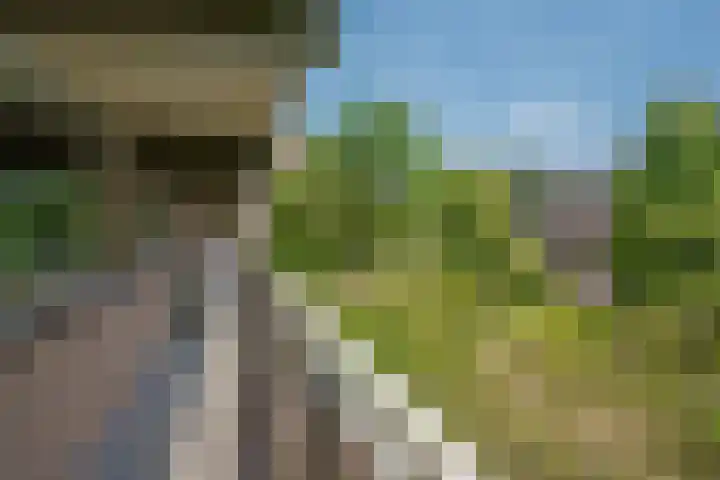 Dunantstraat 913 Zoetermeer thumbnail 32