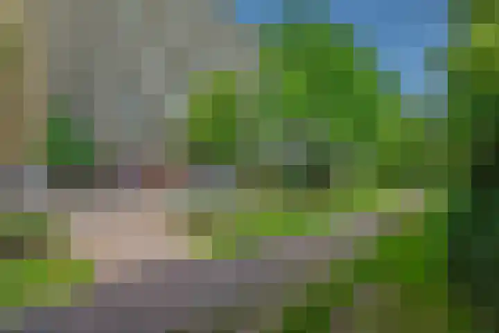 Dunantstraat 913 Zoetermeer thumbnail 41