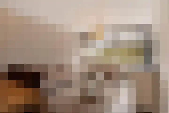 Dunantstraat 919 in Zoetermeer