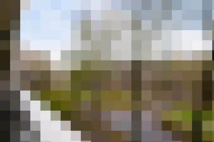 Dunantstraat 919 Zoetermeer thumbnail 49