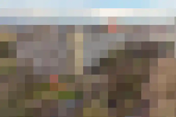 Dunantstraat 919 Zoetermeer thumbnail 5