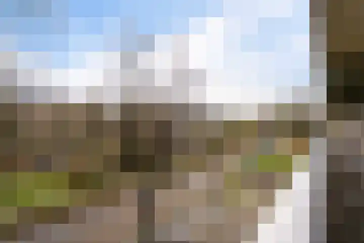 Dunantstraat 919 Zoetermeer thumbnail 50