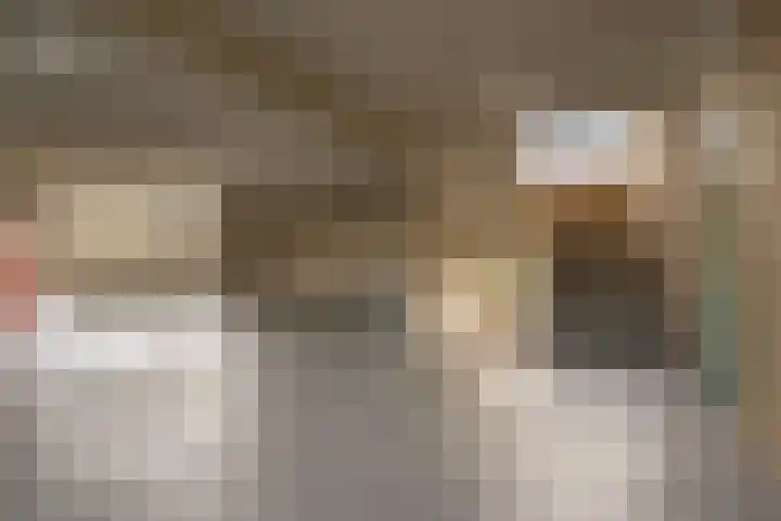 Dunantstraat 919 Zoetermeer thumbnail 7