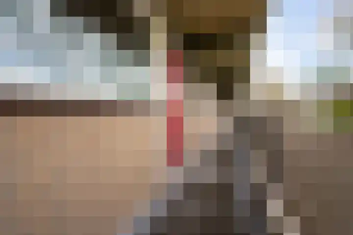 Dunantstraat 919 Zoetermeer thumbnail 9