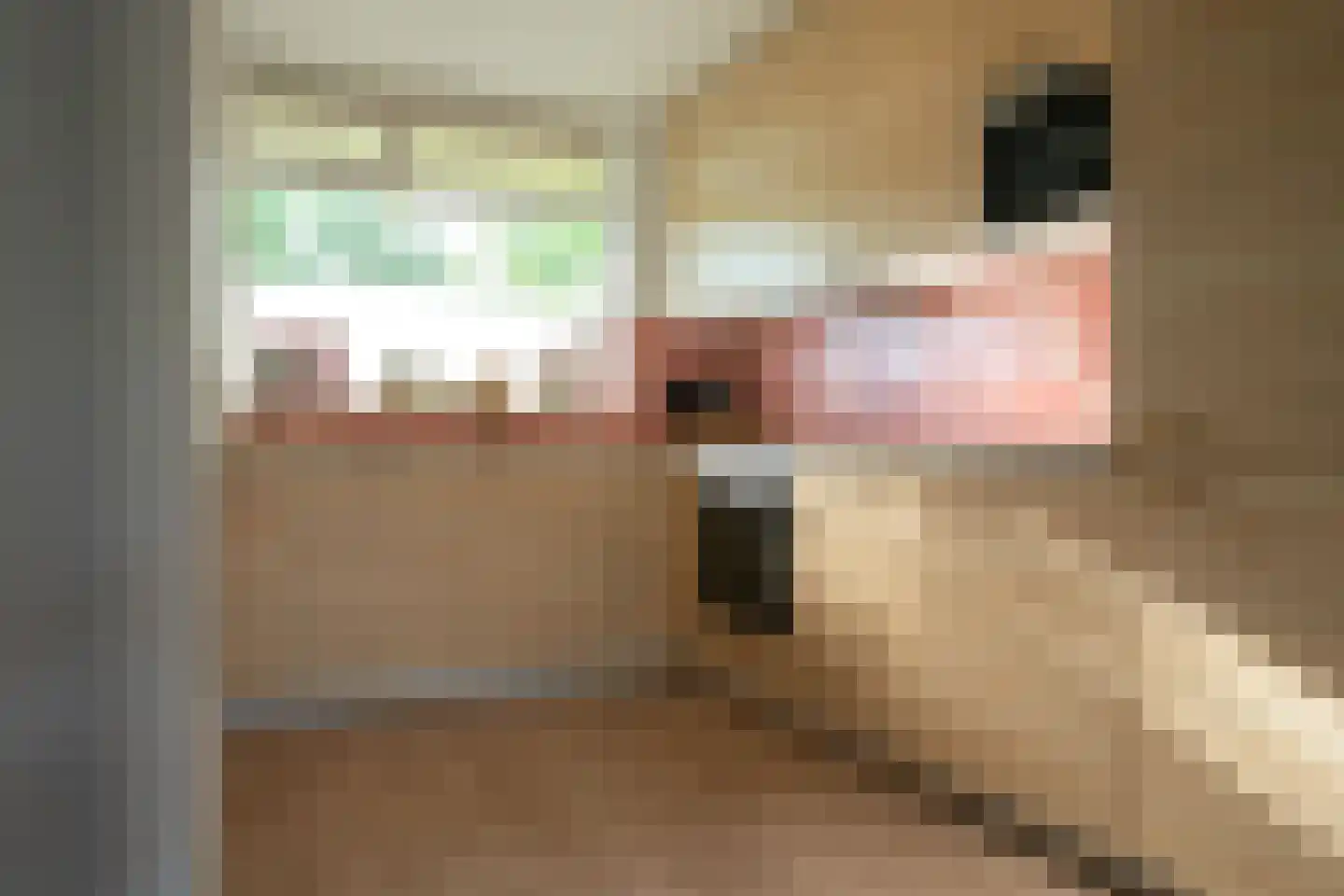 Dunantstraat 941 Zoetermeer thumbnail 21