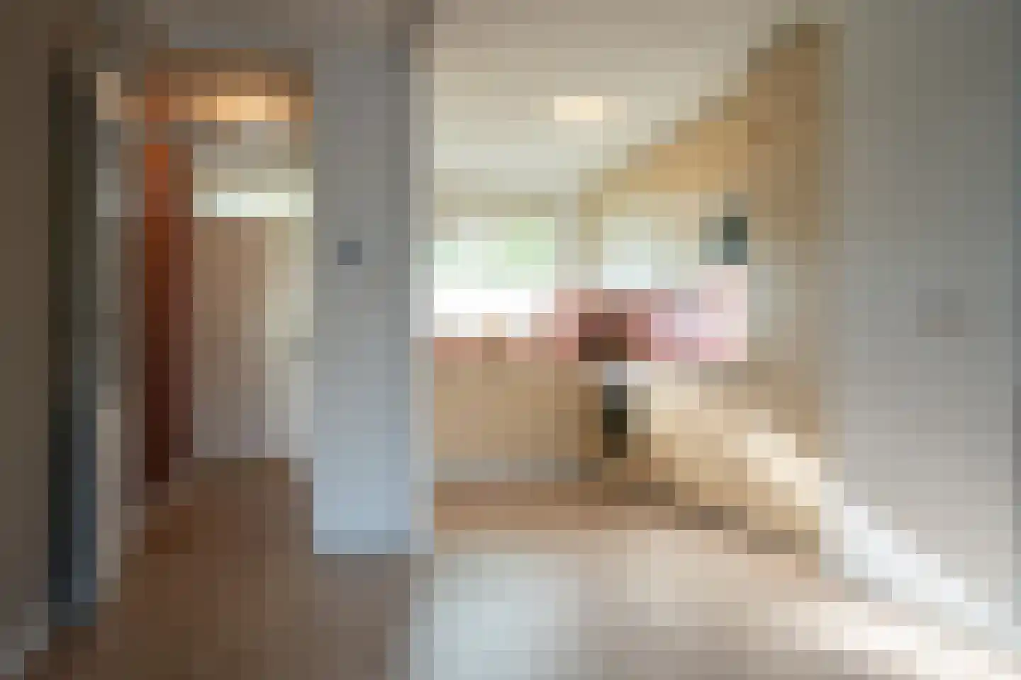 Dunantstraat 941 Zoetermeer thumbnail 40