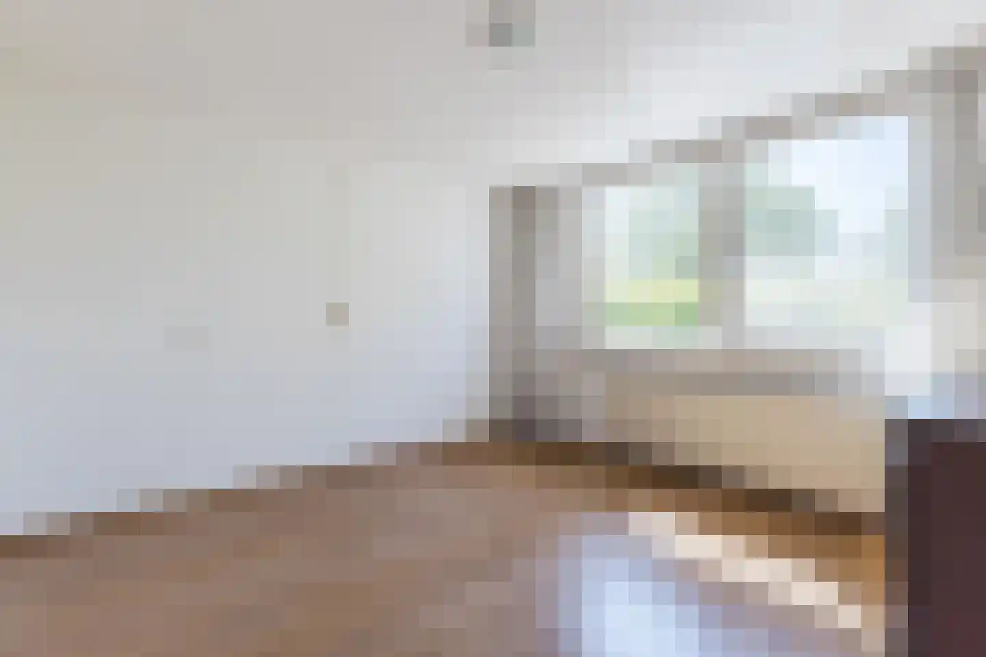 Dunantstraat 95 Hoofddorp thumbnail 22