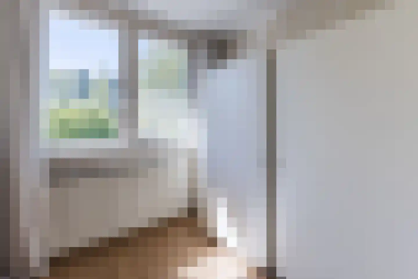 Dunantstraat 95 Hoofddorp thumbnail 28