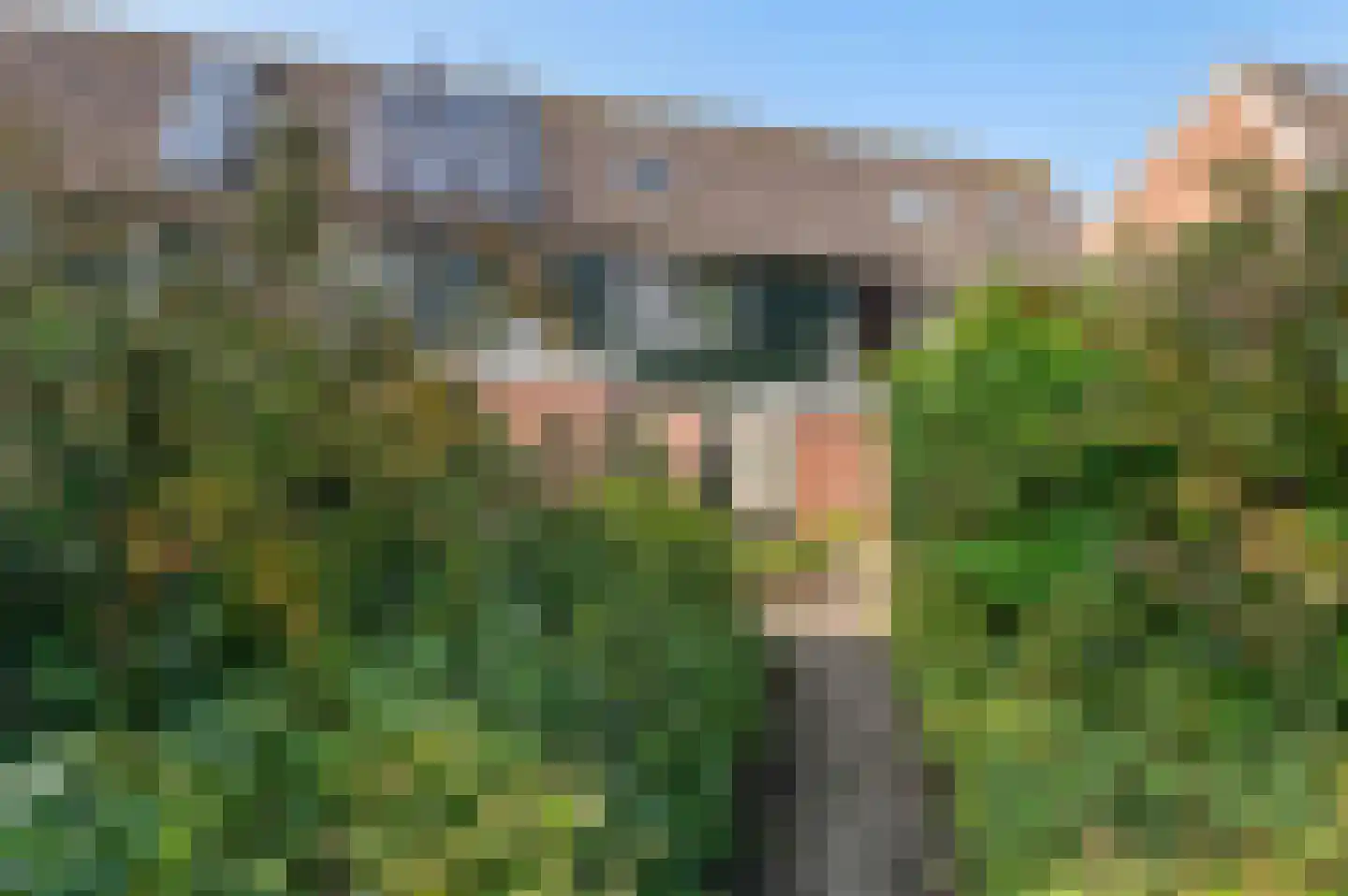 Dunantstraat 95 Hoofddorp thumbnail 33