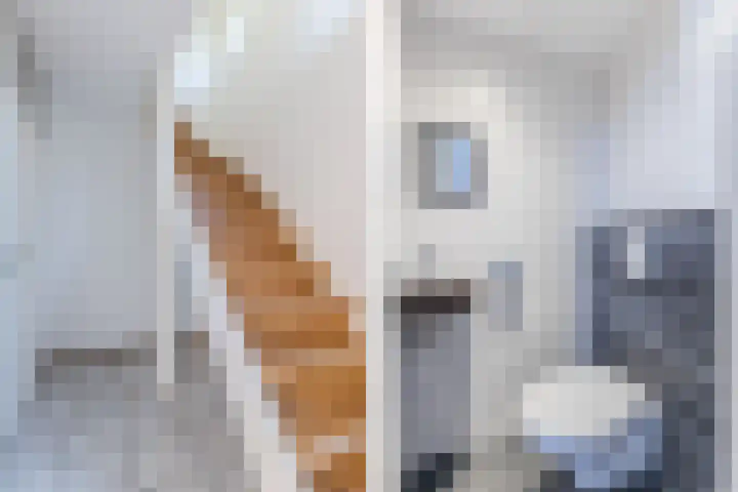 Dunantstraat 95 Hoofddorp thumbnail 6