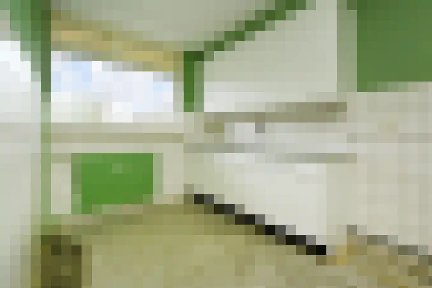 Dunantstraat 959 Zoetermeer thumbnail 13
