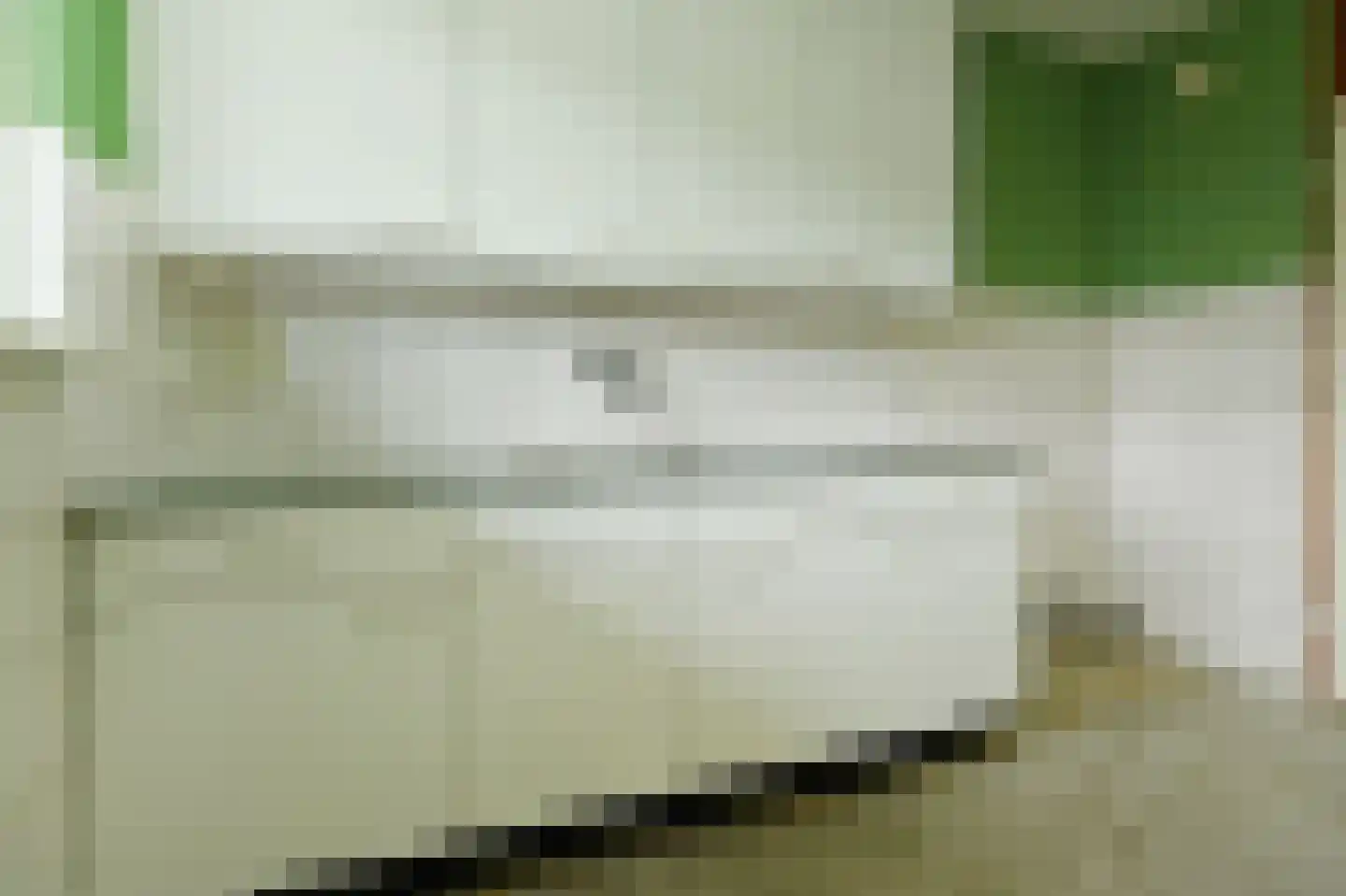 Dunantstraat 959 Zoetermeer thumbnail 14