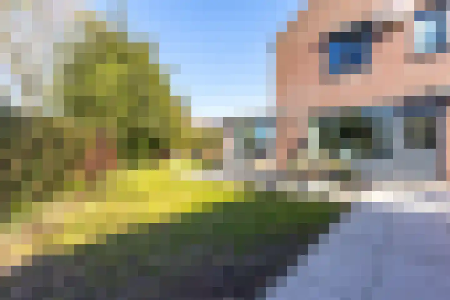 Dunckellaan 17 Sittard thumbnail 25