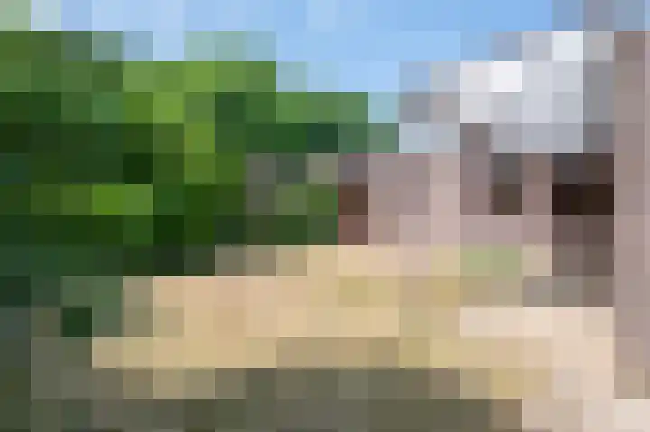 Dunckellaan 2 Sittard thumbnail 4