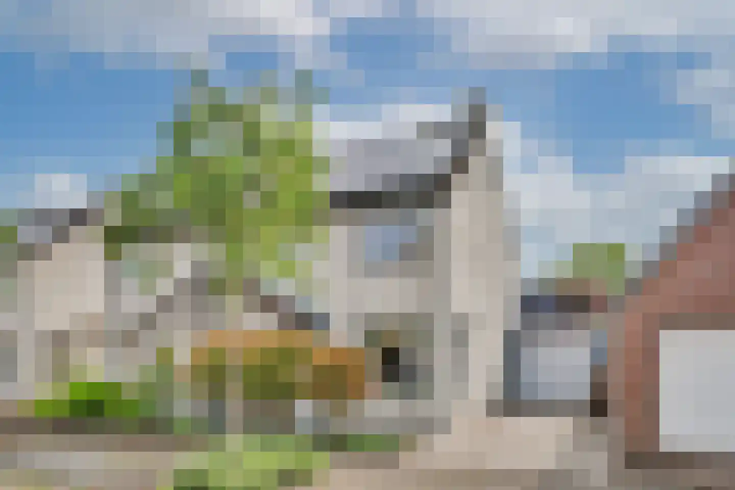 Dundelbroek 4 Rijen thumbnail 10