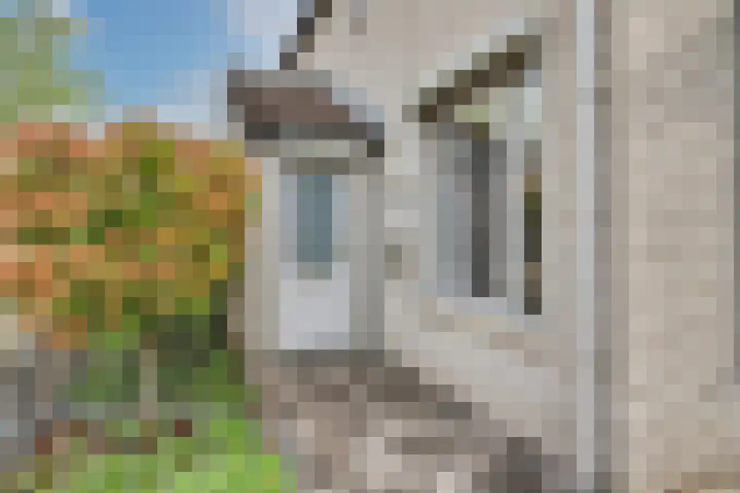 Dundelbroek 4 Rijen thumbnail 11