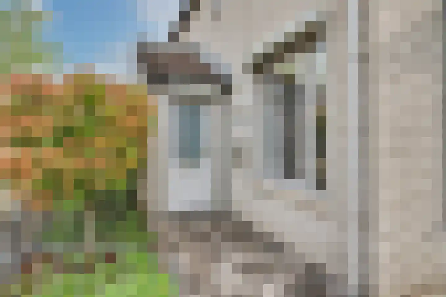Dundelbroek 4 Rijen thumbnail 11