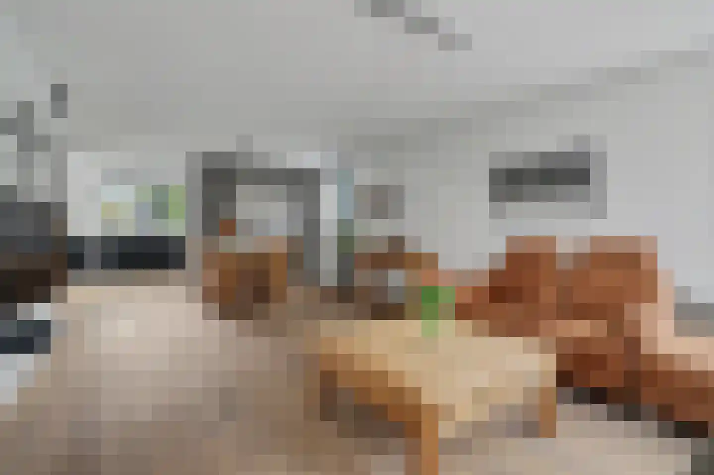 Dundelbroek 4 Rijen thumbnail 15