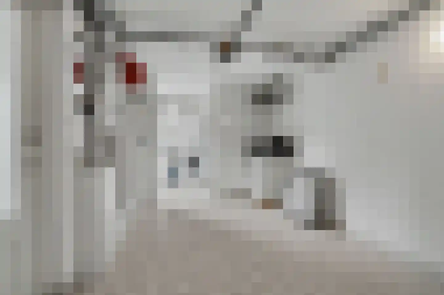 Dundelbroek 4 Rijen thumbnail 27