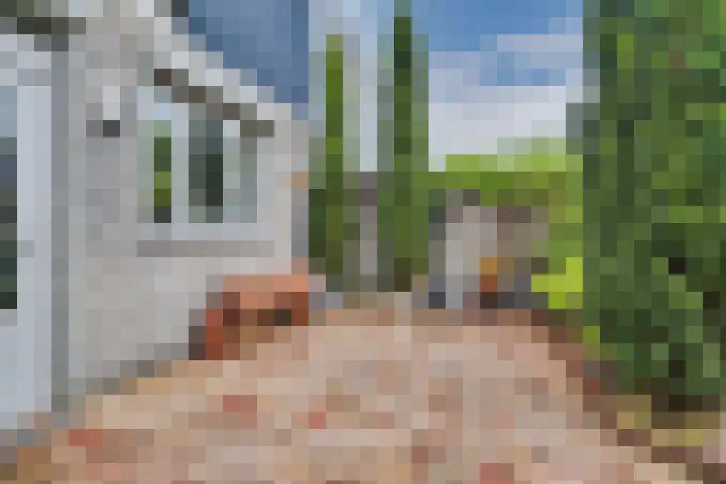 Dundelbroek 4 Rijen thumbnail 31