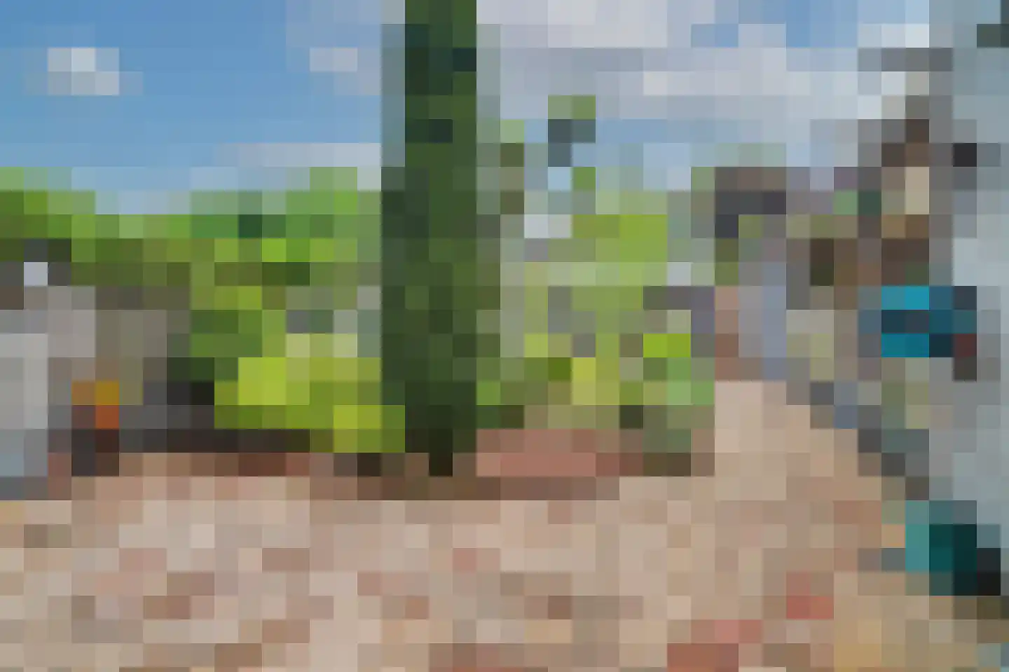 Dundelbroek 4 Rijen thumbnail 32