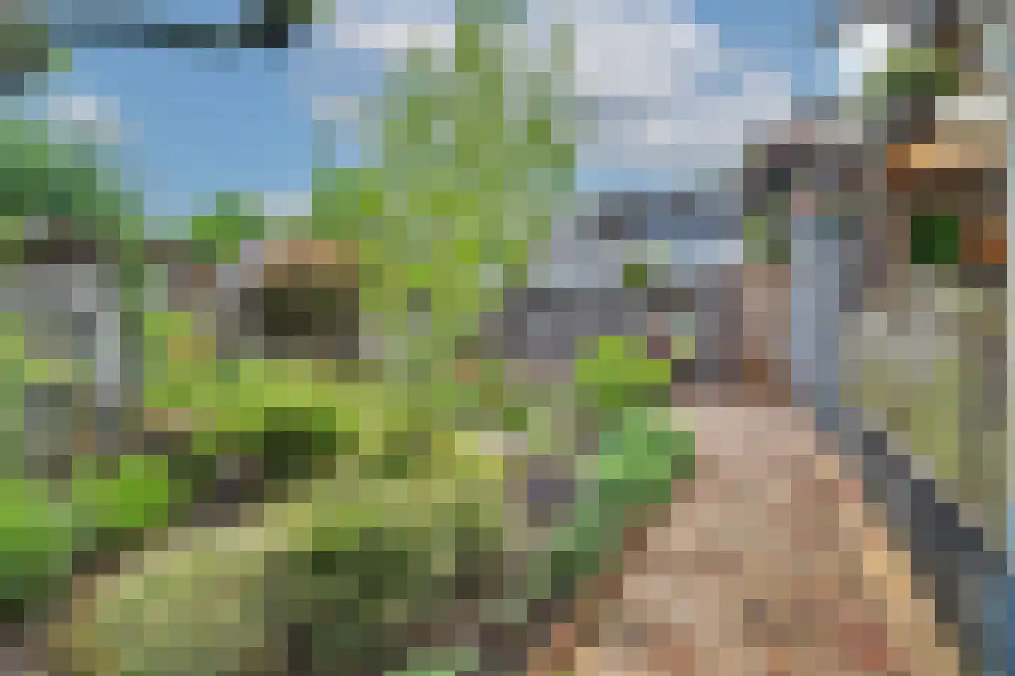Dundelbroek 4 Rijen thumbnail 33