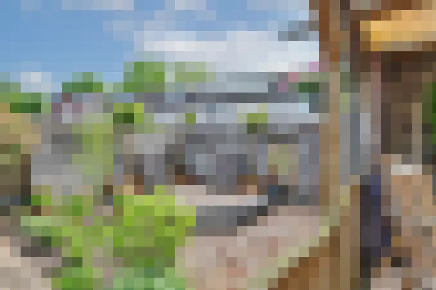 Dundelbroek 4 Rijen thumbnail 34
