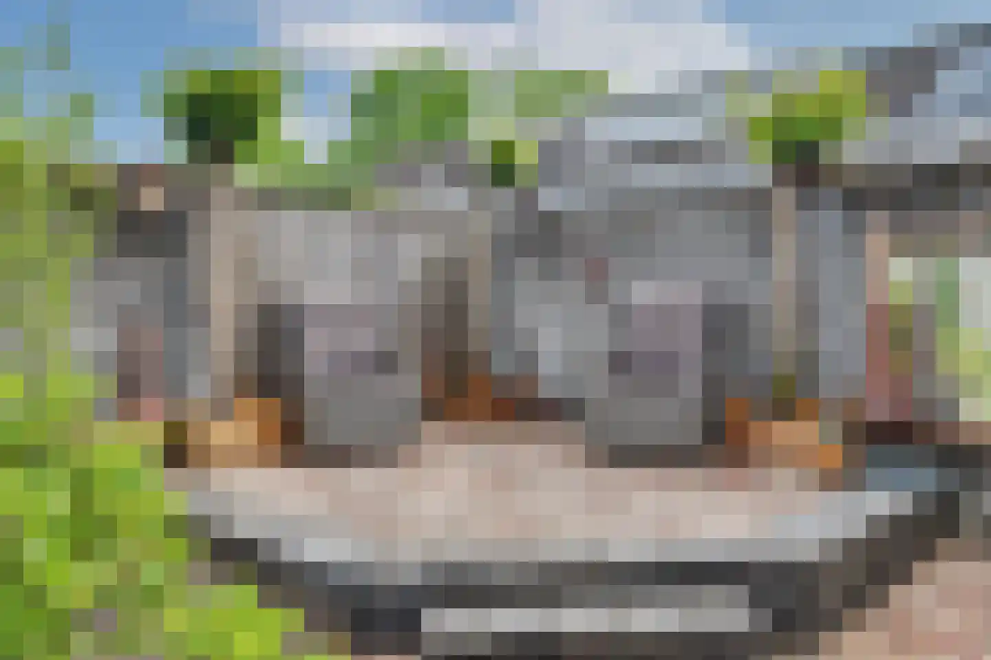 Dundelbroek 4 Rijen thumbnail 36
