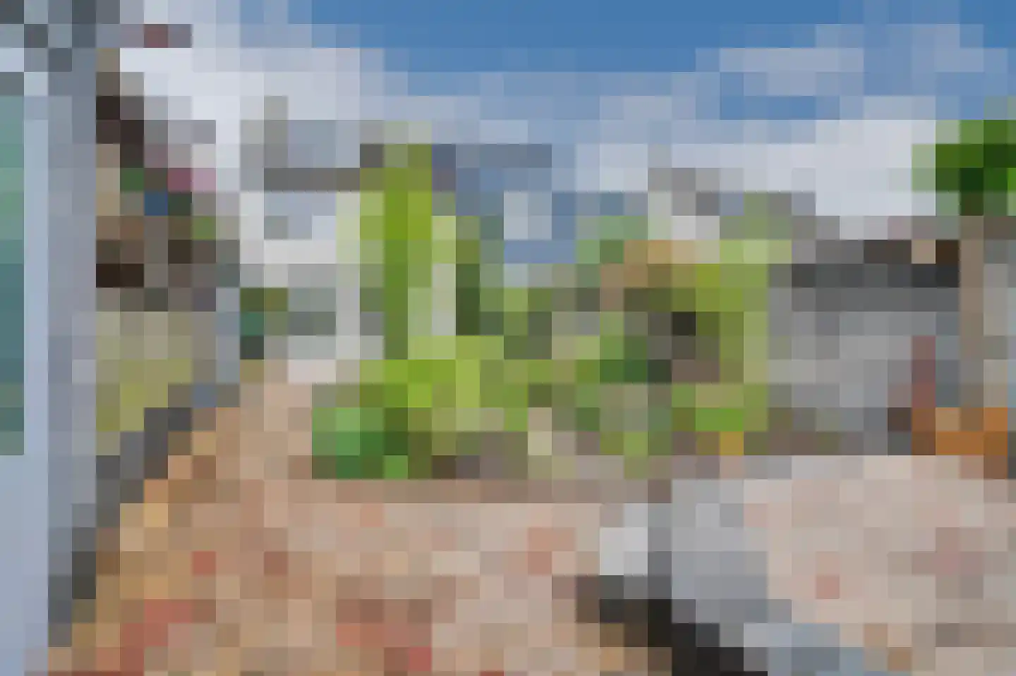 Dundelbroek 4 Rijen thumbnail 40