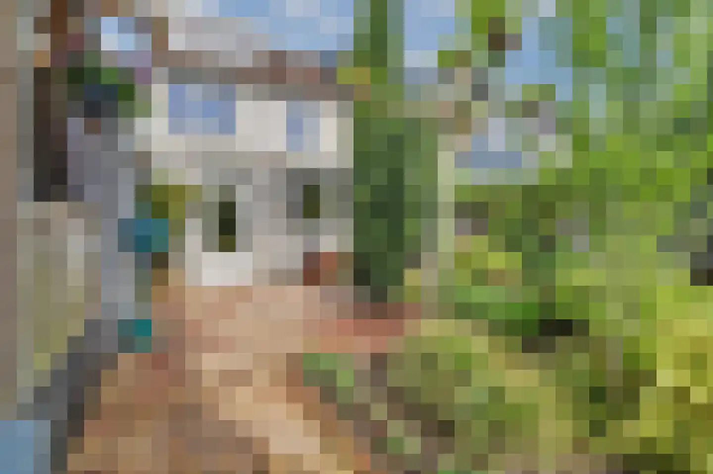 Dundelbroek 4 Rijen thumbnail 46