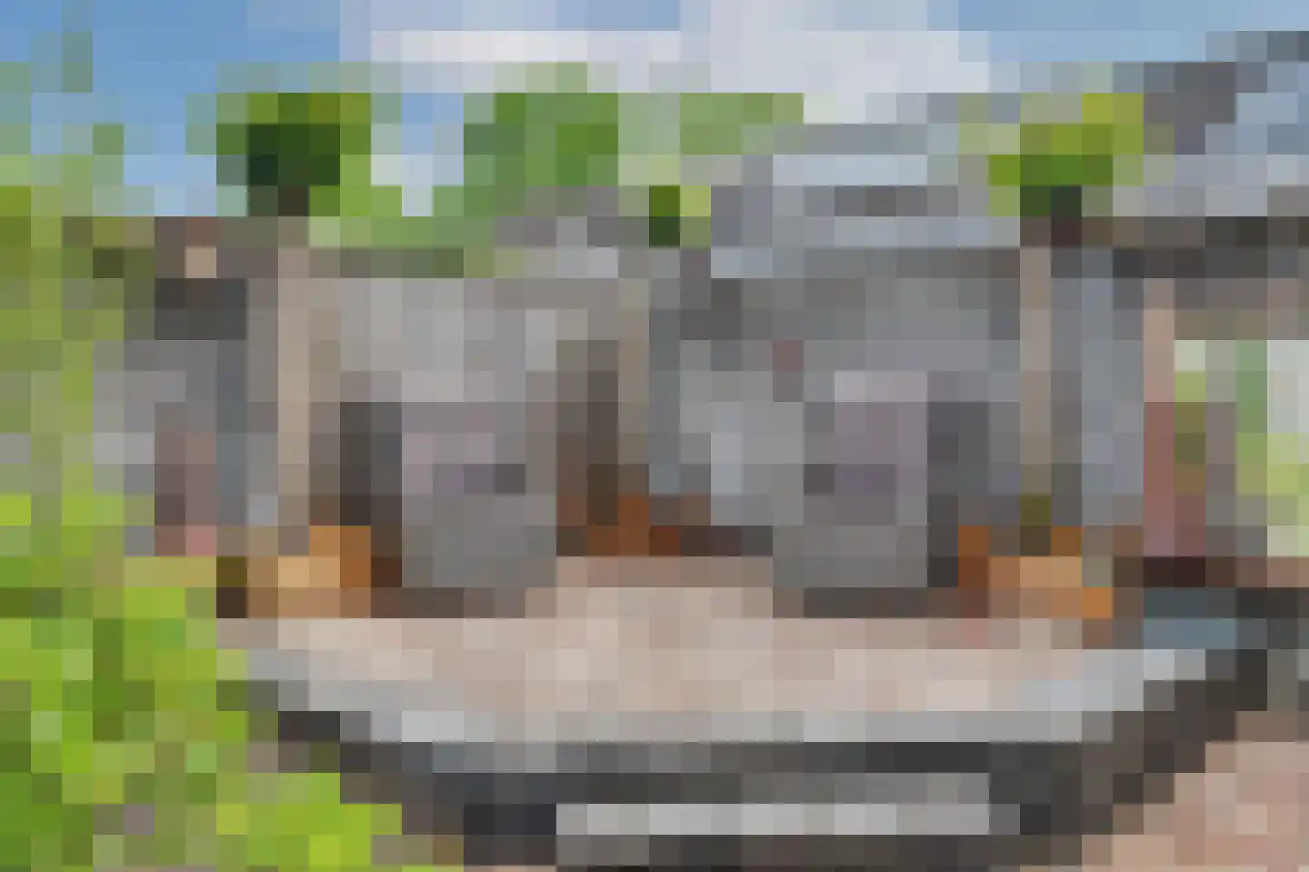 Dundelbroek 4 Rijen thumbnail 58