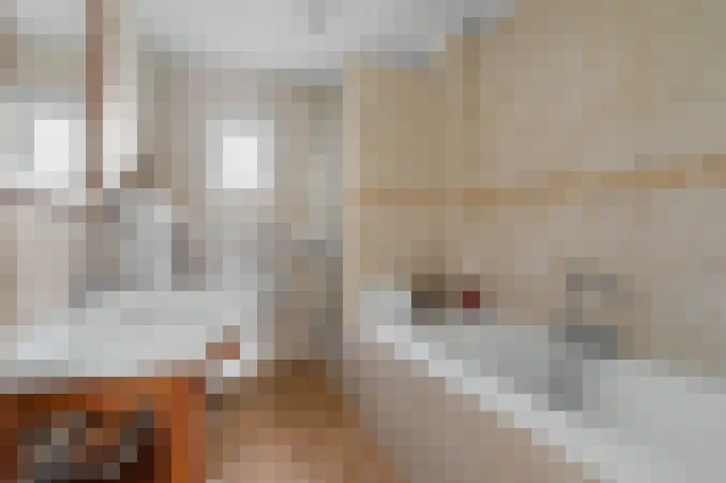 Dundelbroek 4 Rijen thumbnail 7