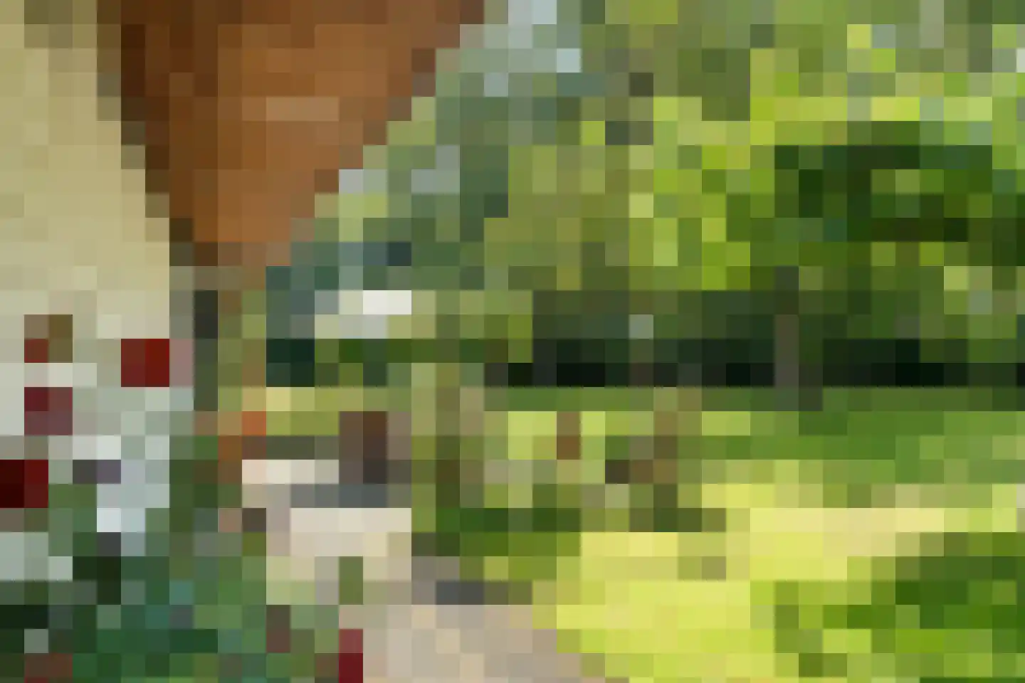 Dunenkamperweg 16 Stroe thumbnail 37