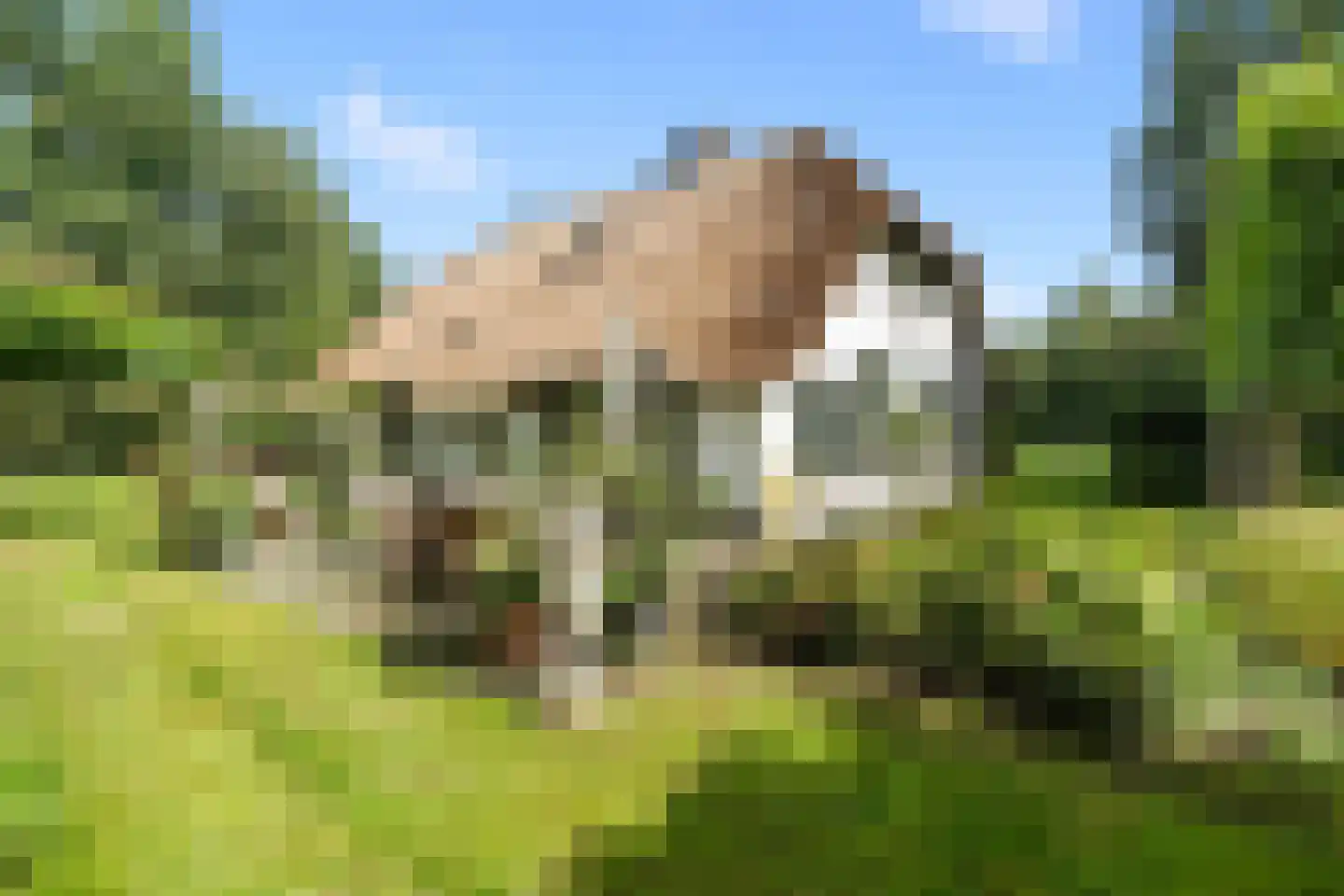 Dunenkamperweg 16 Stroe thumbnail 39